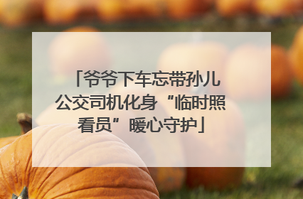 爷爷下车忘带孙儿 公交司机化身“临时照看员”暖心守护