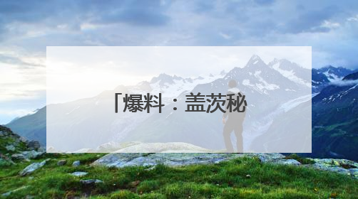 爆料：盖茨秘密去白宫游说