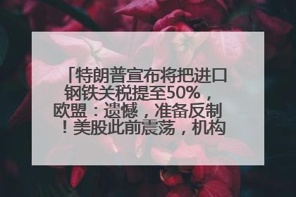 特朗普宣布将把进口钢铁关税提至50%，欧盟：遗憾，准备反制！美股此前震荡，机构：美元正进入熊市