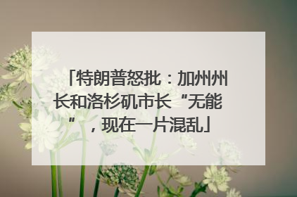 特朗普怒批：加州州长和洛杉矶市长“无能”，现在一片混乱