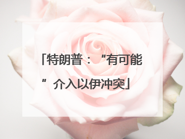 特朗普：“有可能”介入以伊冲突