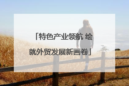 特色产业领航 绘就外贸发展新画卷