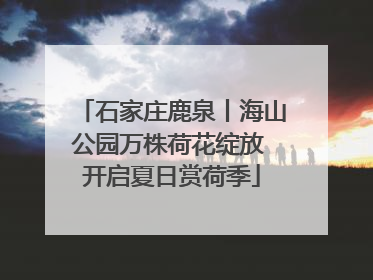 石家庄鹿泉丨海山公园万株荷花绽放 开启夏日赏荷季