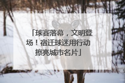 球赛落幕，文明登场！宿迁球迷用行动擦亮城市名片