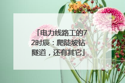 电力线路工的72时辰：爬陡坡钻隧道，还有其它