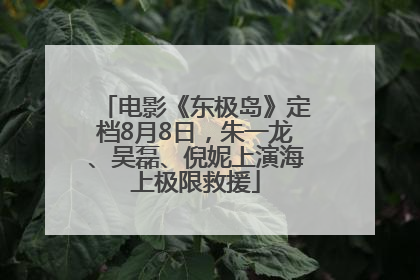 电影《东极岛》定档8月8日，朱一龙、吴磊、倪妮上演海上极限救援
