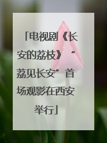 电视剧《长安的荔枝》“荔见长安”首场观影在西安举行