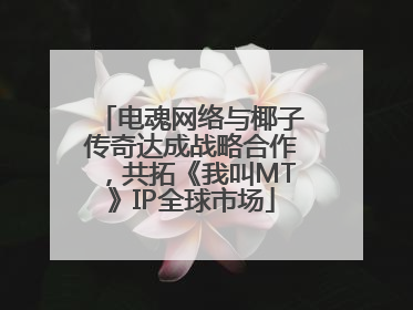电魂网络与椰子传奇达成战略合作，共拓《我叫MT》IP全球市场