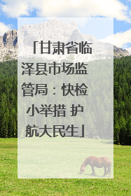 甘肃省临泽县市场监管局：快检小举措 护航大民生