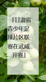 甘肃省青少年足球片区联赛在武威开赛