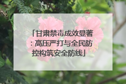 甘肃禁毒成效显著：高压严打与全民防控构筑安全防线