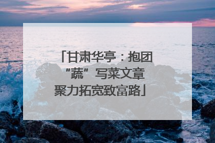 甘肃华亭：抱团“蔬”写菜文章 聚力拓宽致富路