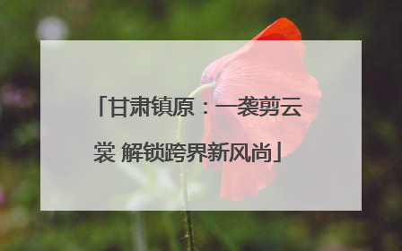 甘肃镇原：一袭剪云裳 解锁跨界新风尚