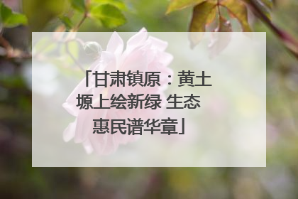 甘肃镇原：黄土塬上绘新绿 生态惠民谱华章