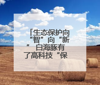 生态保护向“智”向“新” 白海豚有了高科技“保镖”