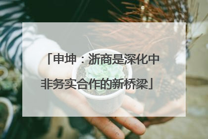 申坤：浙商是深化中非务实合作的新桥梁