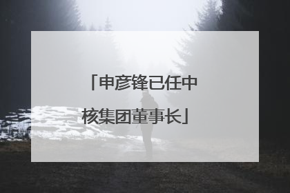 申彦锋已任中核集团董事长