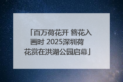 百万荷花开 簪花入画时 2025深圳荷花赏在洪湖公园启幕