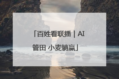 百姓看联播｜AI管田 小麦躺赢