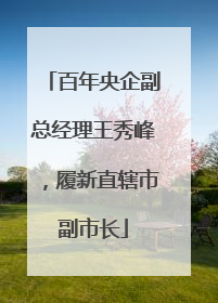 百年央企副总经理王秀峰，履新直辖市副市长