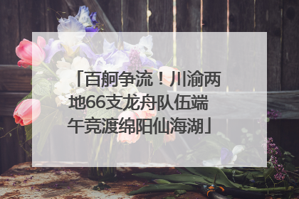 百舸争流！川渝两地66支龙舟队伍端午竞渡绵阳仙海湖