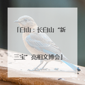 白山：长白山“新三宝”亮相文博会