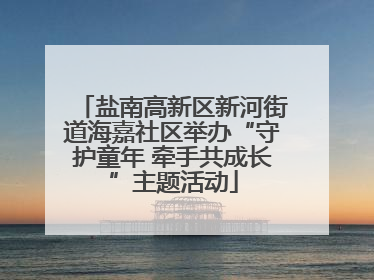 盐南高新区新河街道海嘉社区举办“守护童年 牵手共成长”主题活动