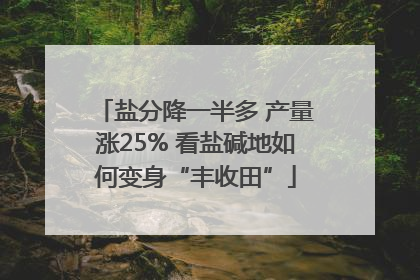 盐分降一半多 产量涨25% 看盐碱地如何变身“丰收田”