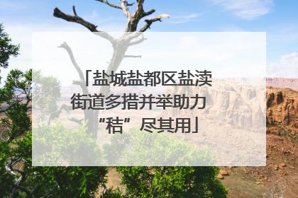 盐城盐都区盐渎街道多措并举助力“秸”尽其用