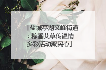盐城亭湖文峰街道：粽香艾草传温情 多彩活动聚民心