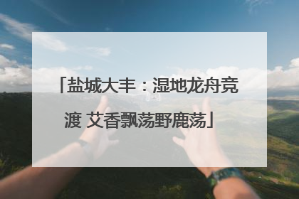 盐城大丰：湿地龙舟竞渡 艾香飘荡野鹿荡