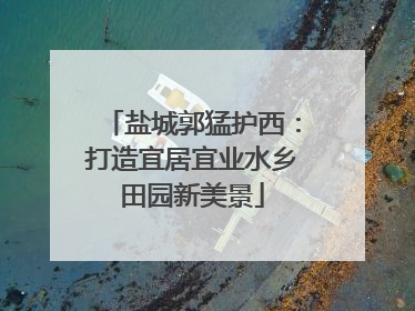 盐城郭猛护西：打造宜居宜业水乡田园新美景