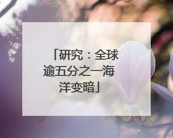 研究：全球逾五分之一海洋变暗