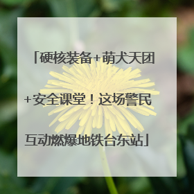 硬核装备+萌犬天团+安全课堂！这场警民互动燃爆地铁台东站
