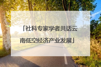 社科专家学者共话云南低空经济产业发展
