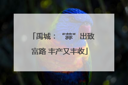 禹城：“蒜”出致富路 丰产又丰收