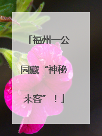 福州一公园藏“神秘来客”！