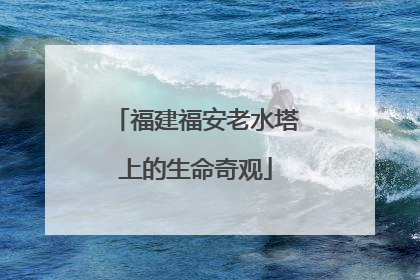 福建福安老水塔上的生命奇观