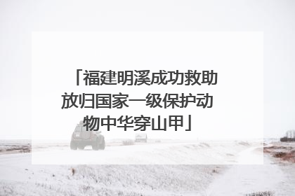福建明溪成功救助放归国家一级保护动物中华穿山甲