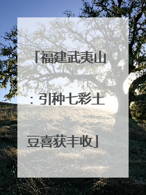 福建武夷山：引种七彩土豆喜获丰收