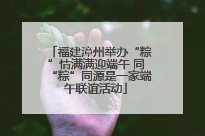 福建漳州举办“粽”情满满迎端午 同“粽”同源是一家端午联谊活动