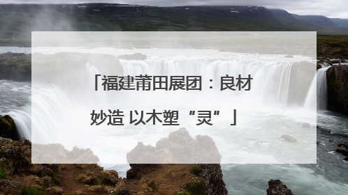 福建莆田展团：良材妙造 以木塑“灵”