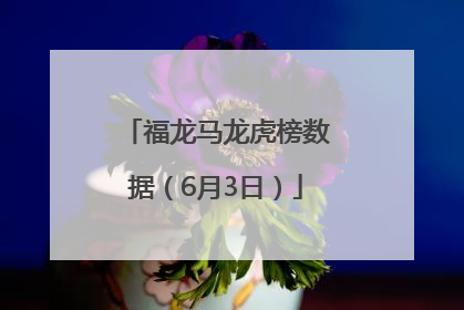 福龙马龙虎榜数据（6月3日）