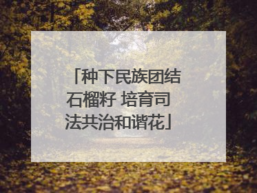 种下民族团结石榴籽 培育司法共治和谐花