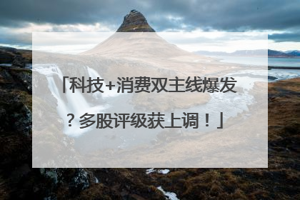 科技+消费双主线爆发？多股评级获上调！