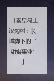 秦皇岛王汉沟村：长城脚下的“甜蜜事业”