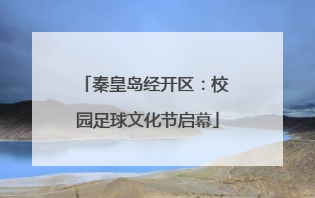秦皇岛经开区：校园足球文化节启幕