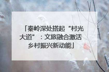 秦岭深处搭起“村光大道”：文旅融合激活乡村振兴新动能