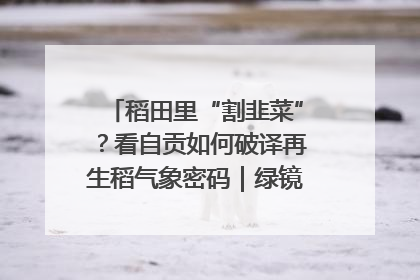稻田里“割韭菜”？看自贡如何破译再生稻气象密码｜绿镜头·发现中国