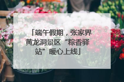 端午假期，张家界黄龙洞景区“粽香驿站”暖心上线